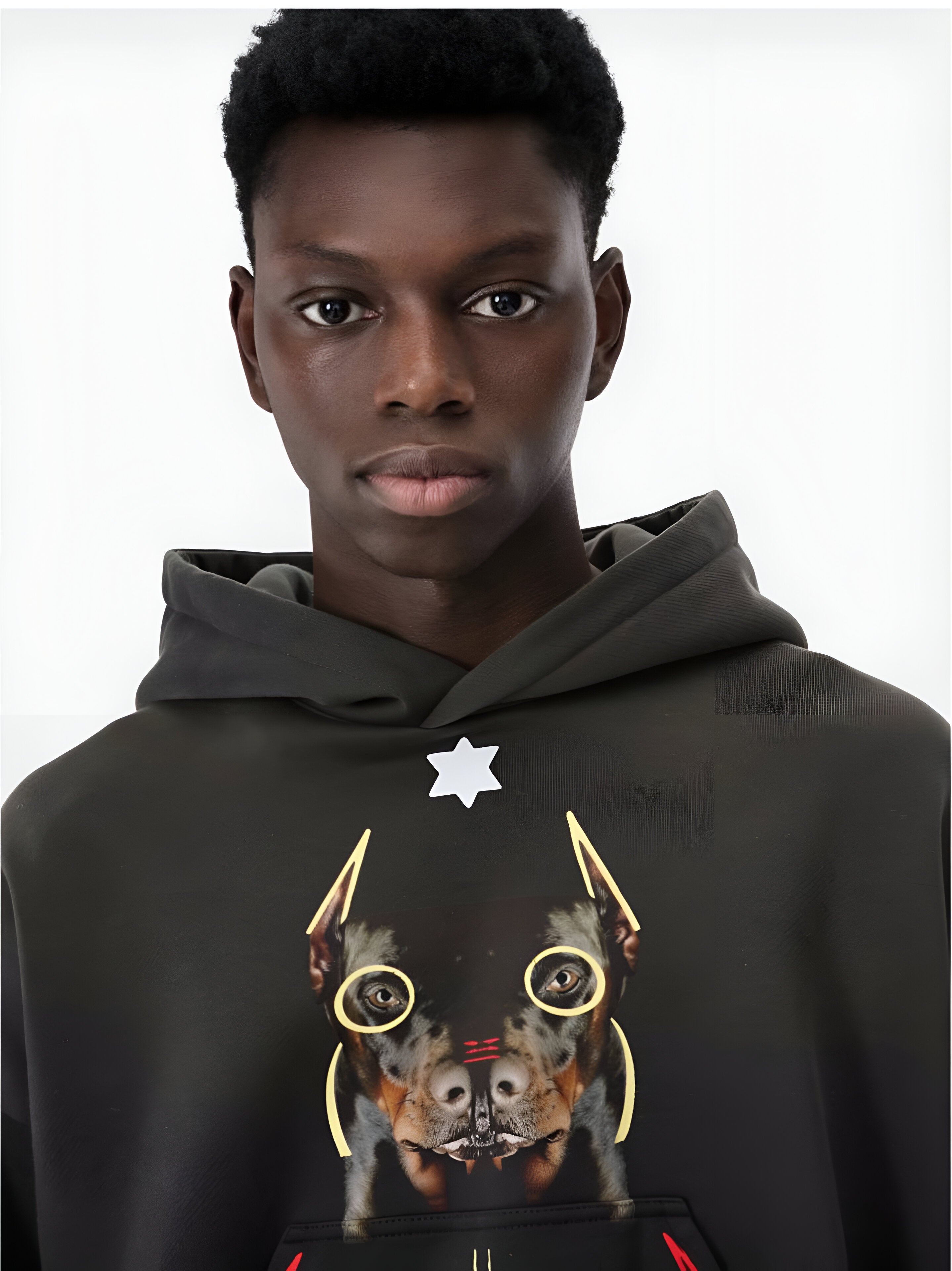 Jered Joaz Palms Mirror Doberman Hoodie