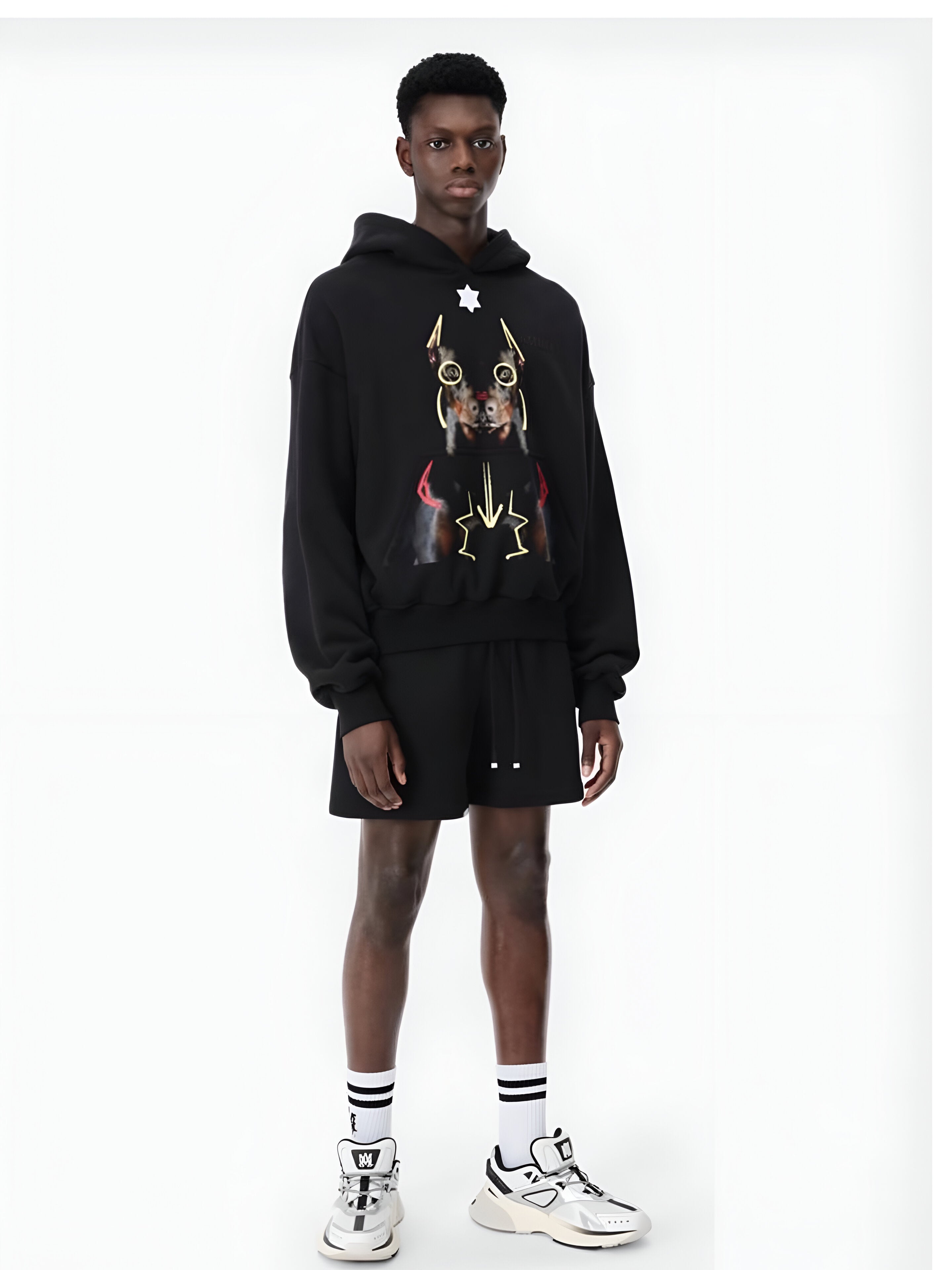 Jered Joaz Palms Mirror Doberman Hoodie