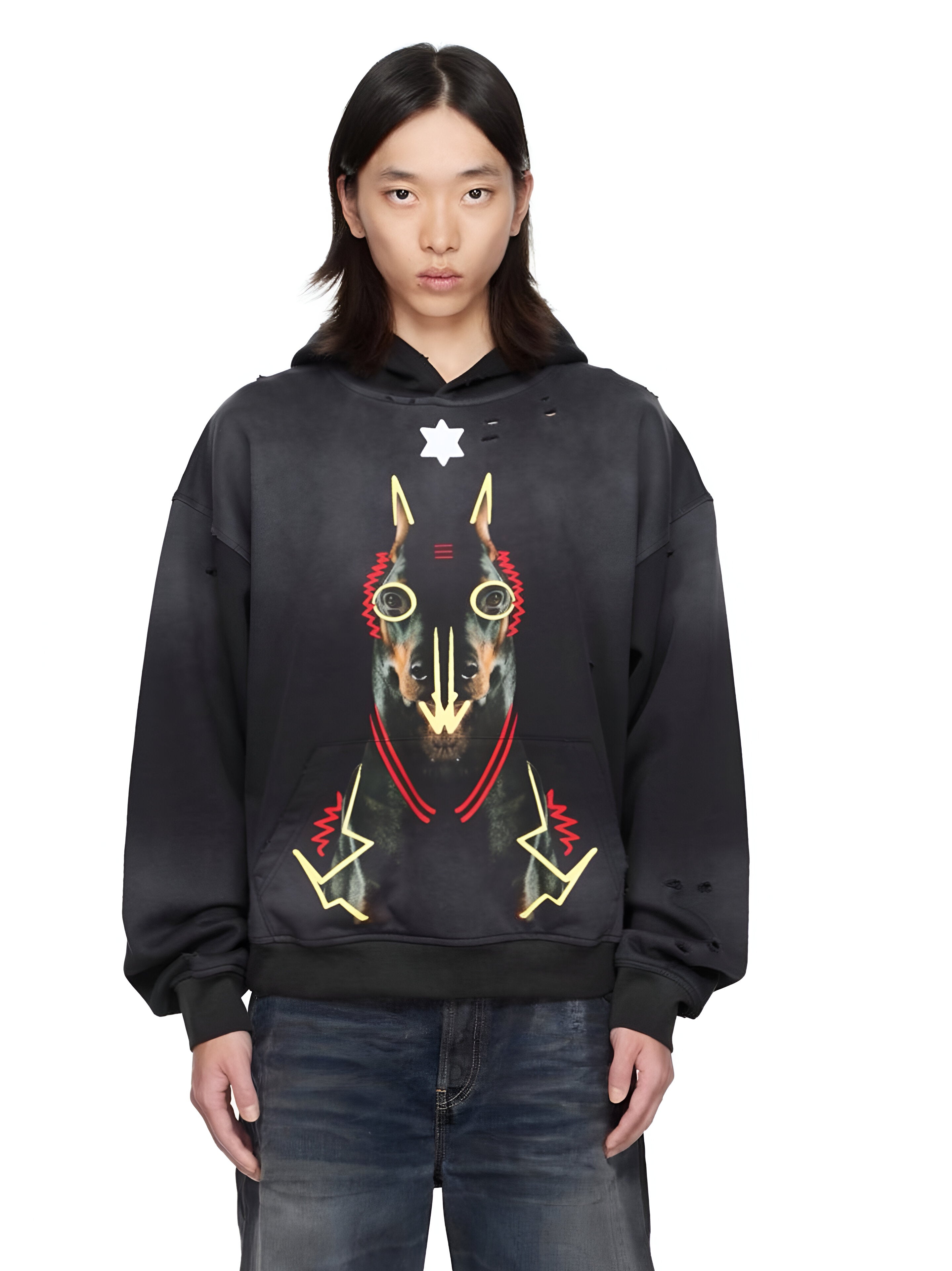 Jered Joaz Palms Art Doberman Hoodie