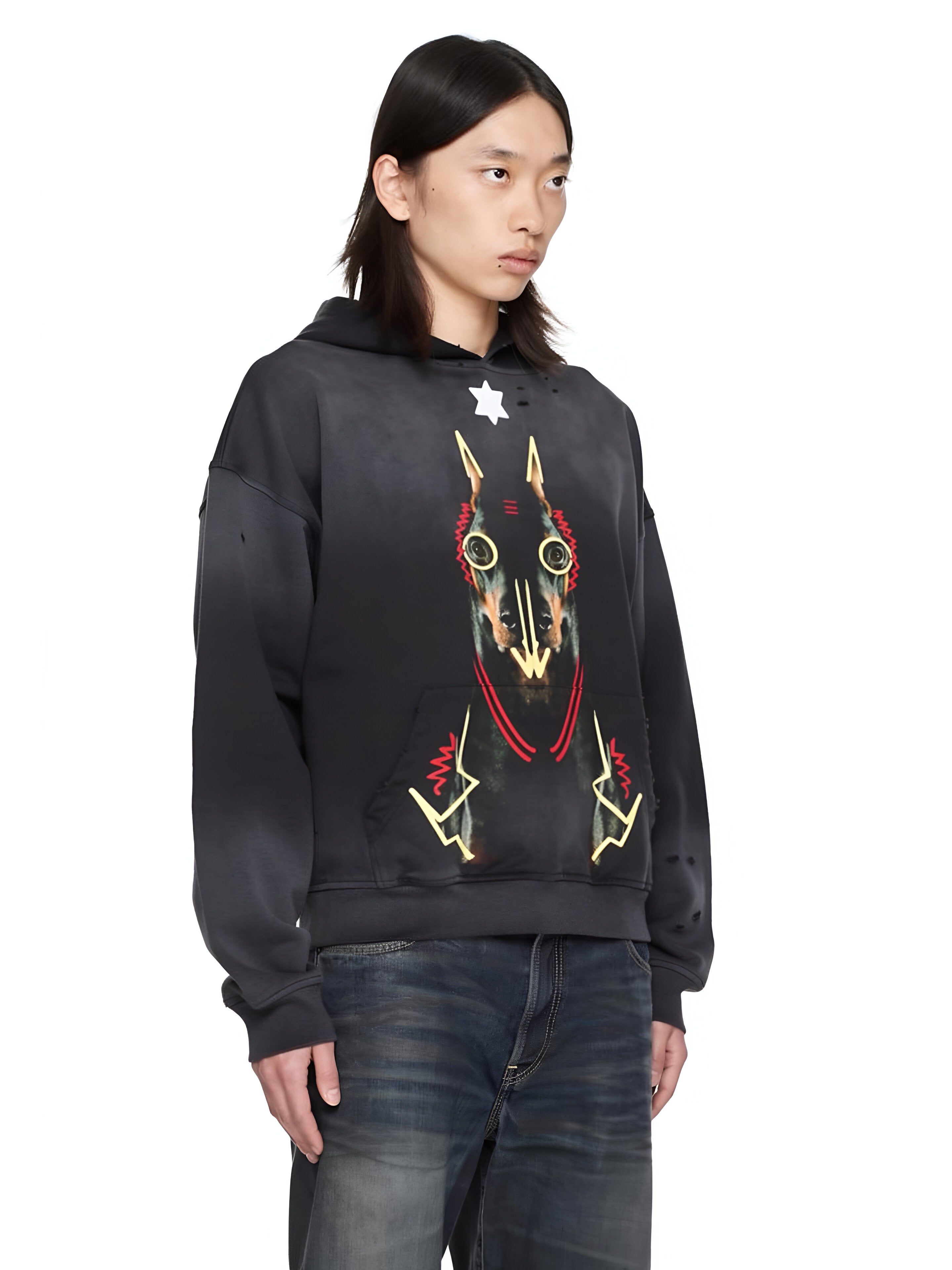 Jered Joaz Palms Art Doberman Hoodie