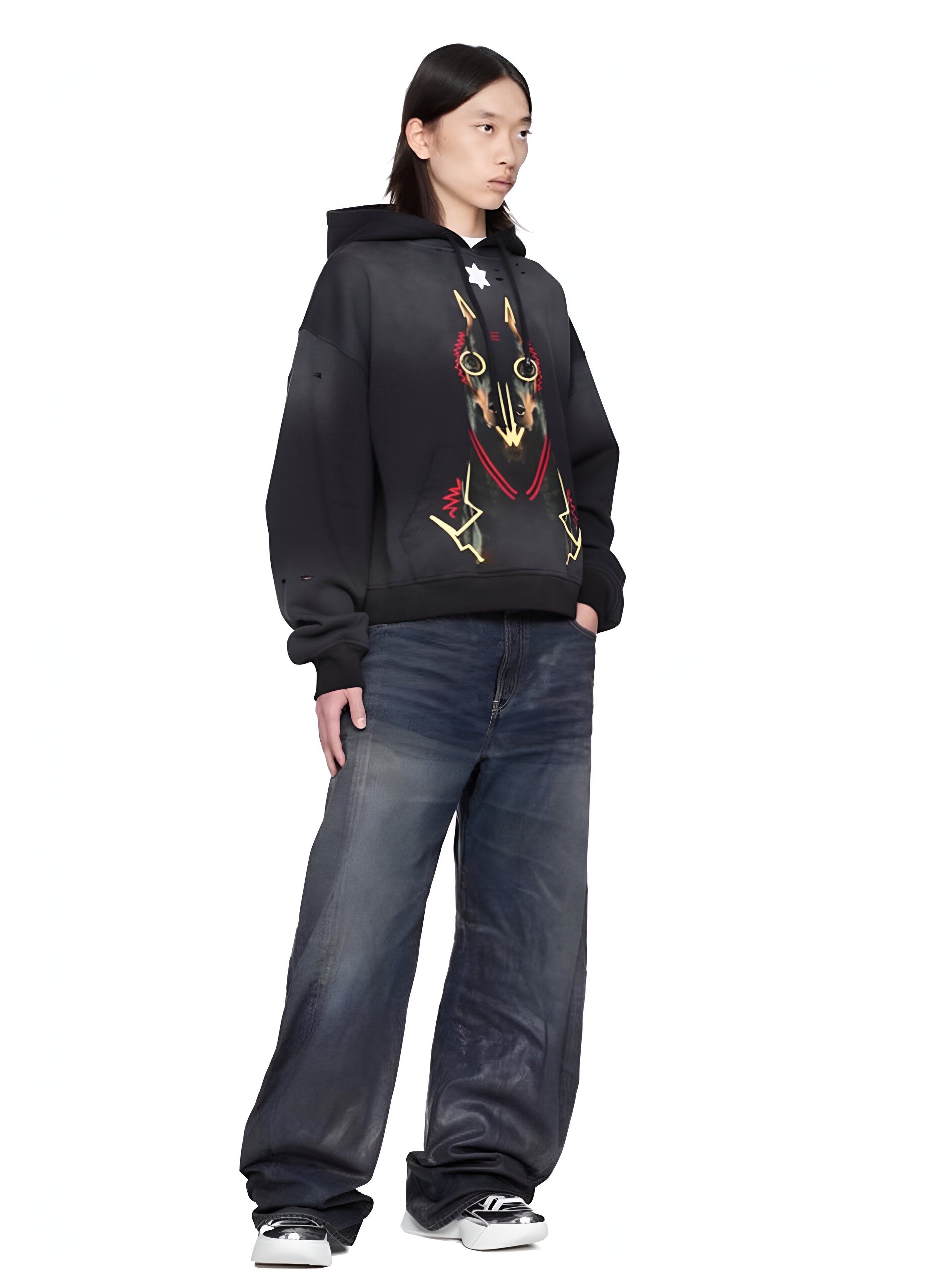 Jered Joaz Palms Art Doberman Hoodie